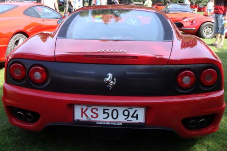 En hyphest pryder de mange heste.
(Foto: Motorsporten.dk)